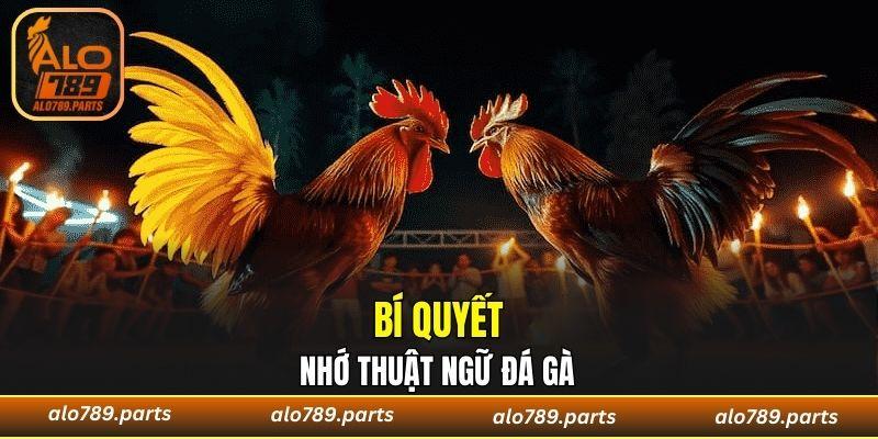 Bí quyết nhớ thuật ngữ đá gà