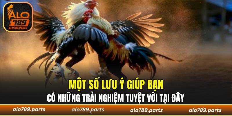 Chuẩn bị vũ khí cẩn thận khi ra đấu trường