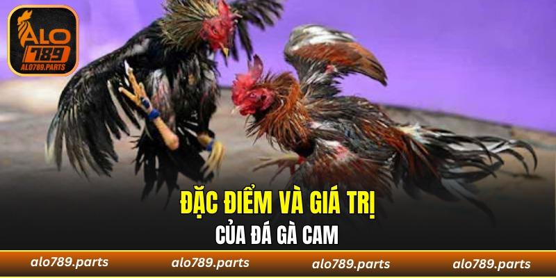 Cuộc chiến rực lửa của những chiến binh rực lửa