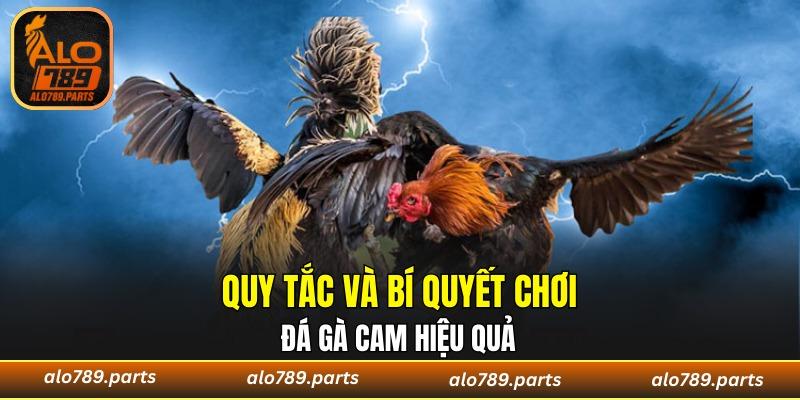 Cược có chiến thuật, phần thưởng tự đến!