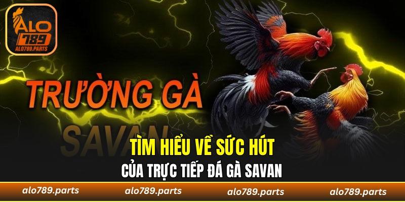 Đặt cược thuận tiện với trực tiếp đá gà Savan