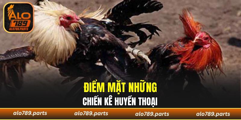 Điểm danh các chú gà chiến huyền thoại