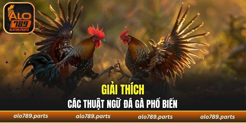 Giải thích các thuật ngữ đá gà phổ biến