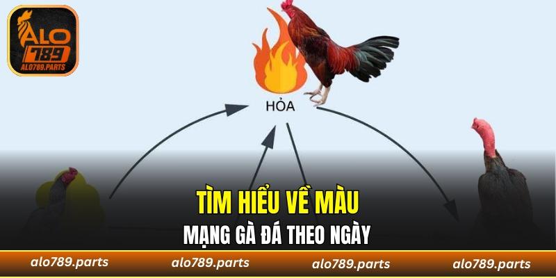 Màu mạng đá gà theo ngày - Yếu tố quyết định thắng thua