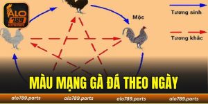 Màu Mạng Gà Đá Theo Ngày - 3 Cách Xem Chuẩn Xác Nhất