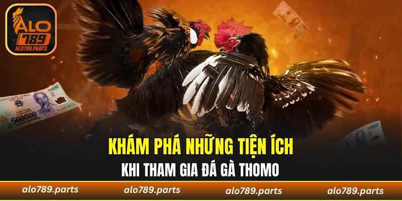Những khuyến mãi hấp dẫn khi tham gia đá gà Thomo