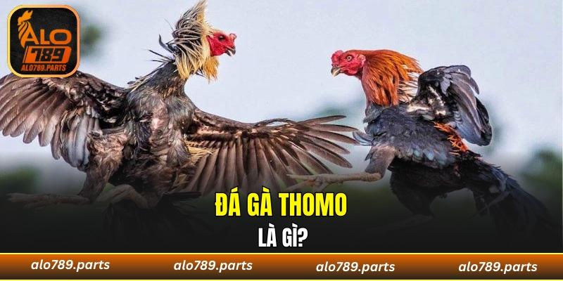 Tìm hiểu một vài thông tin chung về loại hình này 