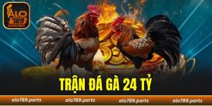 Trận Đá Gà 24 Tỷ - Cuộc So Tài Đỉnh Cao Gây Chấn Động