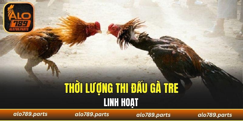 Trận đấu gà tre thường không có quy định về thời gian