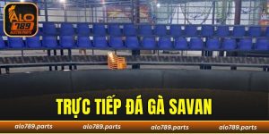 Trực Tiếp Đá Gà Savan - Tham Gia Đặt Cược Nhận Quà Hấp Dẫn