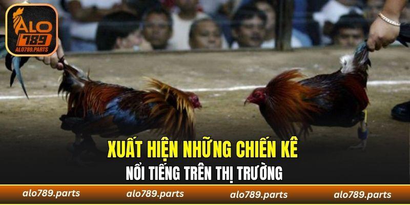 Xuất hiện những chiến kê nổi tiếng trên thị trường